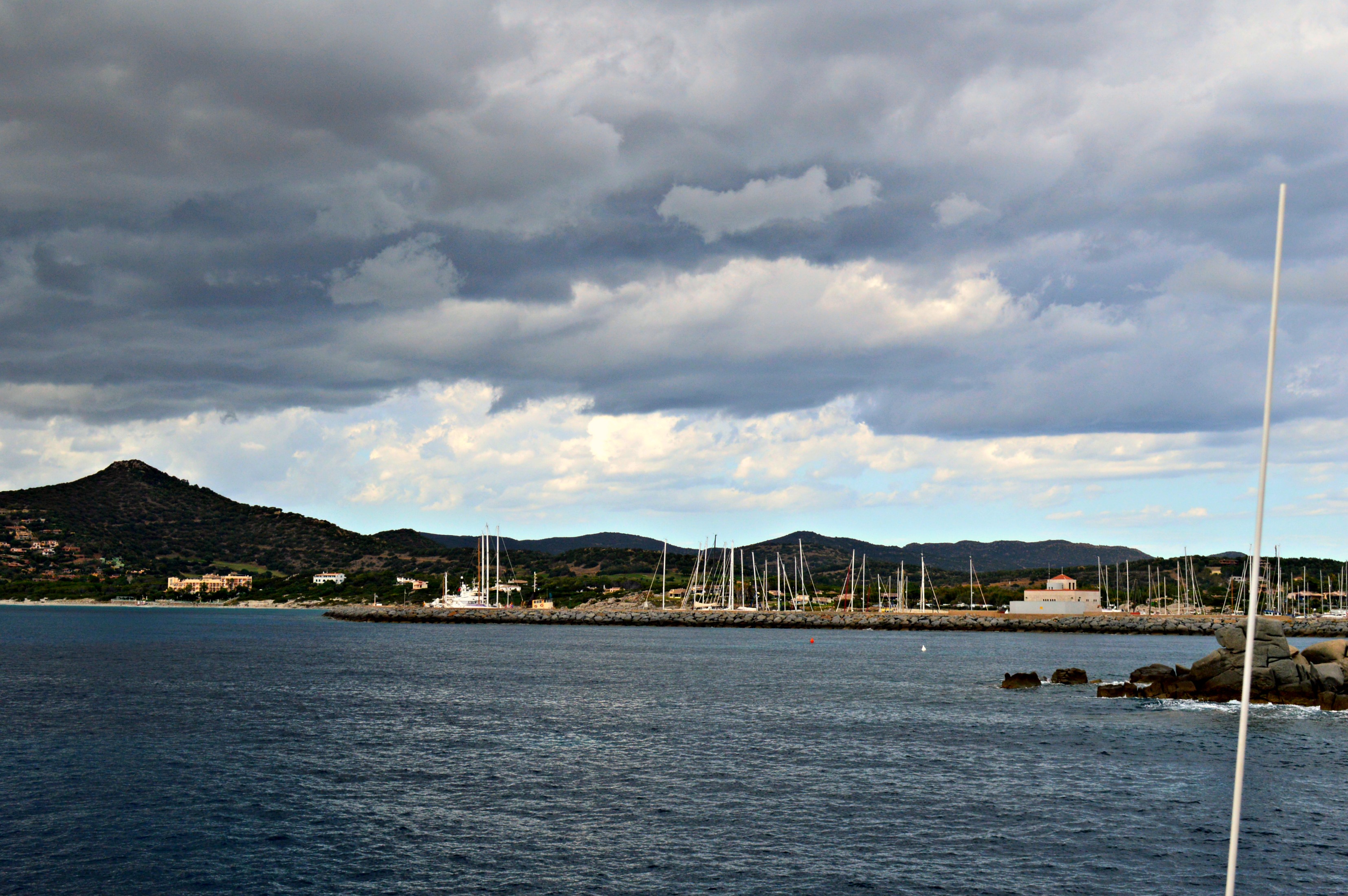 barbabolario_FioreDiMaggioTempesta