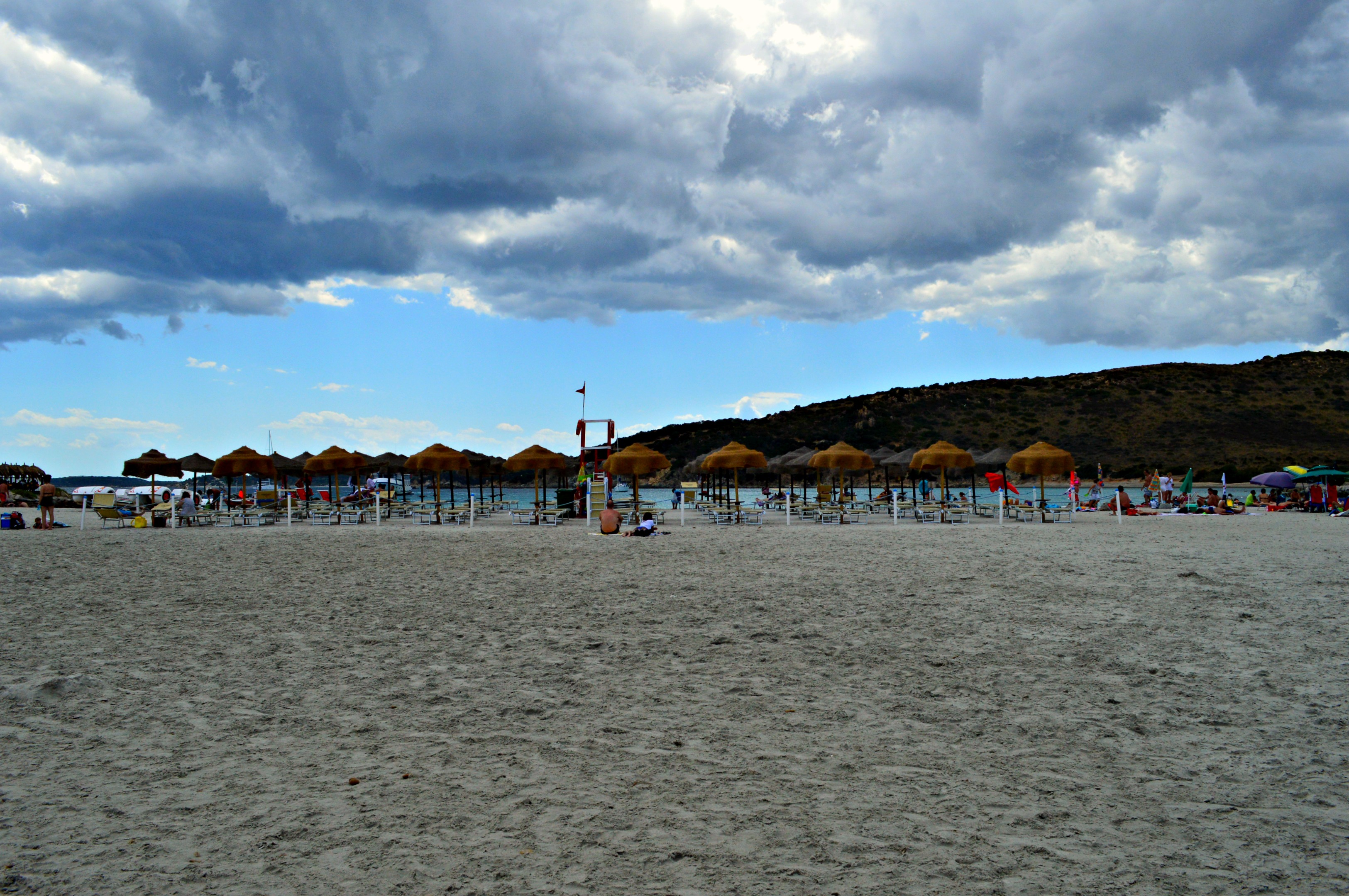 barbabolario_puntaismolentis