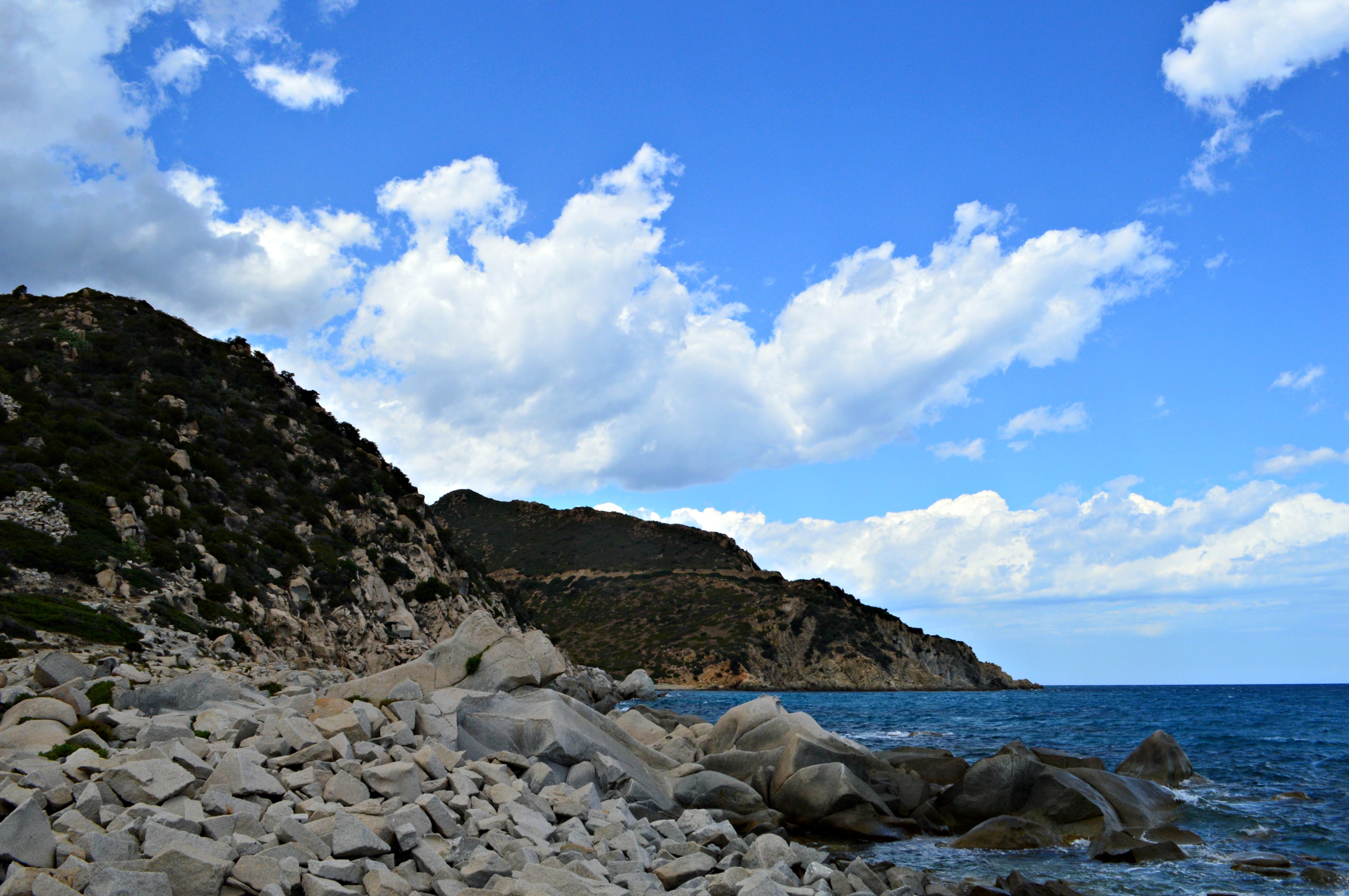 barbabolario_puntaismolentis3