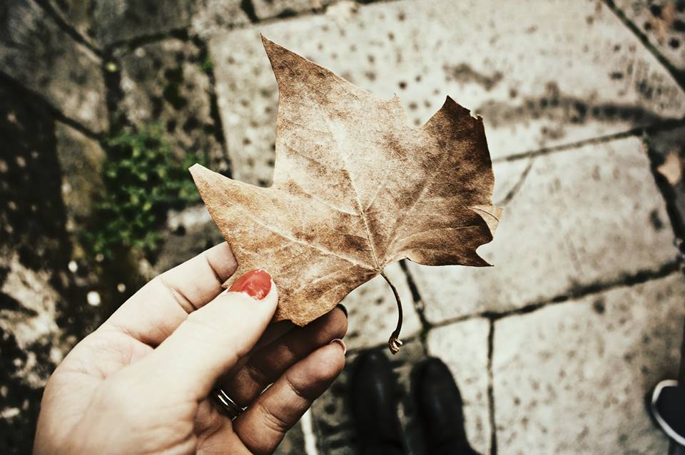 14956011_10209554164482934_8662668878189119035_n